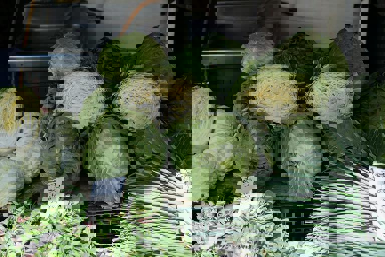 Mercado gastronómico propone sabores del mundo en una experiencia multicultural única